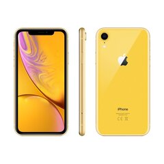 iPhone XR 128 GB, kollane (kasutatud, seisukord A) цена и информация | Мобильные телефоны | kaup24.ee