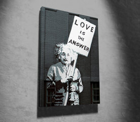 Reproduktsioon Love is The Answer hind ja info | Seinapildid | kaup24.ee
