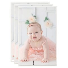 332154 vidaXL Photo Frames Collage 3 pcs for Table Silver 10x15cm MDF цена и информация | Фоторамка | kaup24.ee