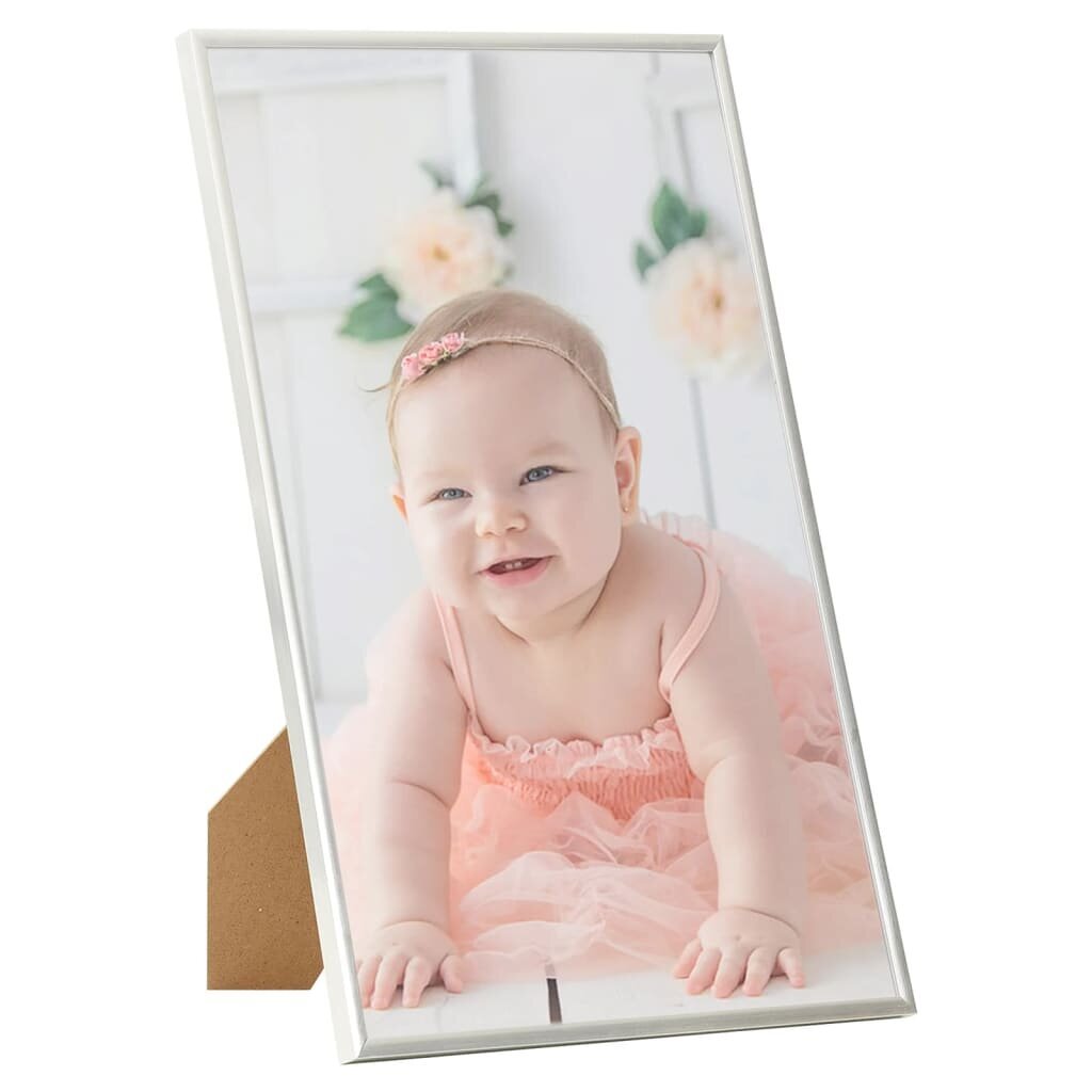 332155 vidaXL Photo Frames Collage 5 pcs for Table Silver 10x15cm MDF цена и информация | Pildiraamid | kaup24.ee