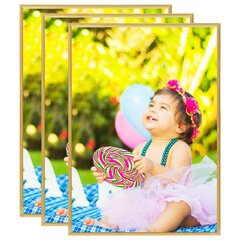 332121 vidaXL Photo Frames Collage 3 pcs for Table Gold 18x24 cm MDF цена и информация | Рамки, фотоальбомы | kaup24.ee