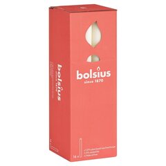 Bolsius lauaküünlad Shine 16 tk 27 cm pärlihall цена и информация | Подсвечники, свечи | kaup24.ee