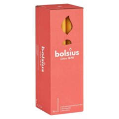 Bolsius lauaküünlad Shine 16 tk 27 cm meekollane hind ja info | Küünlad, küünlajalad | kaup24.ee