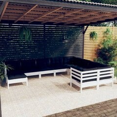 vidaXL 10-osaline aiamööbli komplekt istmepatjadega, valge, männipuit hind ja info | Aiamööbli komplektid | kaup24.ee