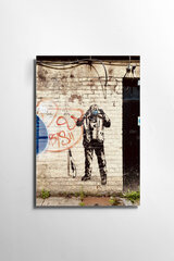 Картина из закаленного стекла Уличное искусство цена и информация | Картины, живопись | kaup24.ee
