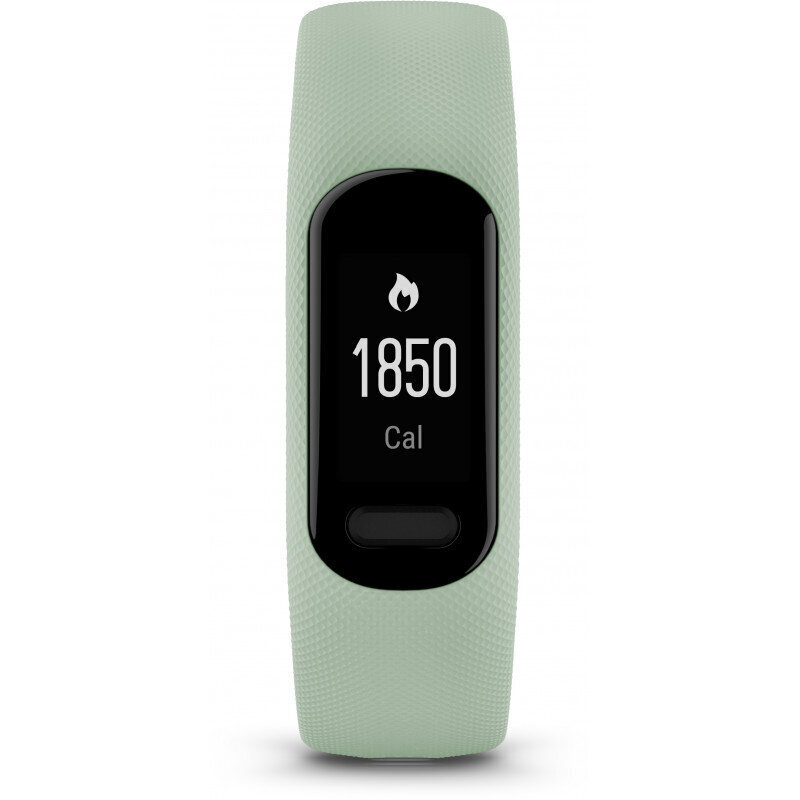 Garmin vívosmart® 5 Cool Mint S/M hind ja info | Nutivõrud (fitness tracker) | kaup24.ee