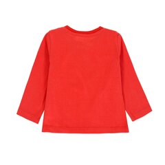 Poiste pikkade varrukatega pluus, Tom Tailor цена и информация | Рубашки для мальчиков | kaup24.ee