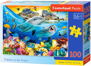 Delfiinid *100* hind ja info | Pusled | kaup24.ee