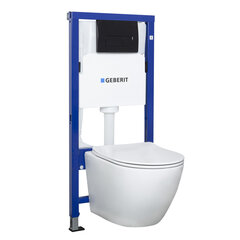 WC-poti peidetav raam Geberit koos WC-potiga ja nupuga цена и информация | Унитазы | kaup24.ee