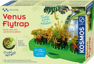 Arenduskomplekt Venus Flytrap цена и информация | Развивающие игрушки | kaup24.ee