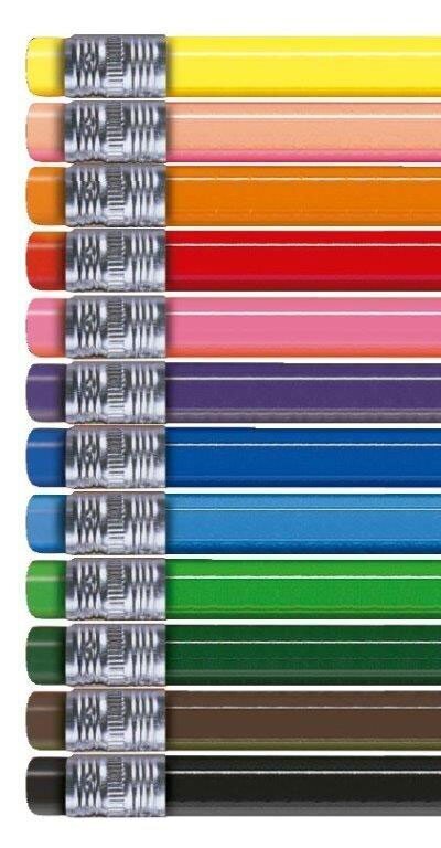 Värvilised pliiatsid Alpino Erasable, 24 värvi цена и информация | Kunstitarbed, voolimise tarvikud | kaup24.ee