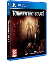PS4 Tormented Souls hind ja info | Arvutimängud, konsoolimängud | kaup24.ee