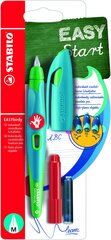 Täitesulepea Easybirdy R nib M sky blue-grass green цена и информация | Письменные принадлежности | kaup24.ee