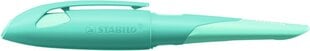 Täitesulepea Easybirdy R nib aqua green-mint цена и информация | Письменные принадлежности | kaup24.ee