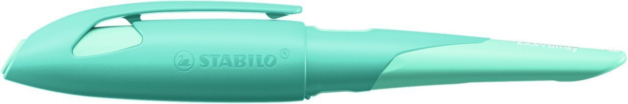 Täitesulepea Easybirdy R nib aqua green-mint цена и информация | Kirjutusvahendid | kaup24.ee