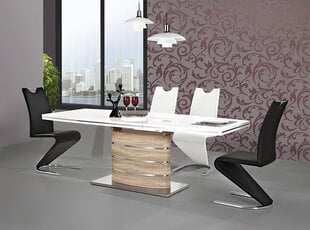 2 tooli komplekt H090, valge/kroom hind ja info | Söögitoolid, baaritoolid | kaup24.ee