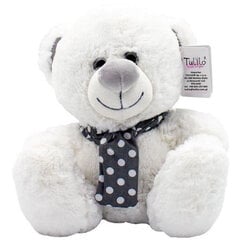 Плюшевый Белый Медведь цена и информация | Мягкие игрушки | kaup24.ee