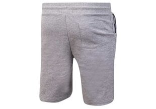 Короткие мужские шорты Tommy Hilfiger SHORT HWK GRAY UM0UM00707 004 30220 цена и информация | Мужские шорты | kaup24.ee