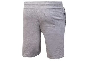 Tommy Hilfiger meeste lühikesed püksid SHORT HWK GRAY UM0UM00707 004 30220 цена и информация | Мужские шорты | kaup24.ee