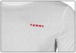 Meeste T-särk Tommy Hilfiger CN SS TEE, VALGE UM0UM02197 YBR 29025 цена и информация | Meeste T-särgid | kaup24.ee
