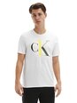 Calvin Klein meeste T-särk S/S CREW NECK WHITE 000NM1903E KLR 29733