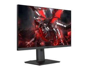 24,5" Full HD IPS mänguri monitor MSI Optix G251PF hind ja info | Monitorid | kaup24.ee