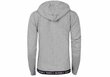 Tommy Hilfiger naiste kapuutsiga pusa HOODY HWK GREY UW0UW00582 004 30292 цена и информация | Naiste kampsunid | kaup24.ee