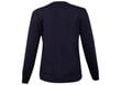 Naiste dressipluus TOMMY HILFIGER REGULAR GRAPHIC C-NK SWEATSHIRT, tumesinine WW0WW30659 DW5 hind ja info | Naiste kampsunid | kaup24.ee