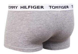 Meeste aluspüksid TOMMY HILFIGER, hall UM0UM01810 P01 hind ja info | Meeste aluspesu | kaup24.ee