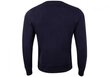 Naiste dressipluus TOMMY HILFIGER TH ESS HILFIGER C-NK SWEATSHIRT, tumesinine W0WW28220 DW5 hind ja info | Naiste kampsunid | kaup24.ee