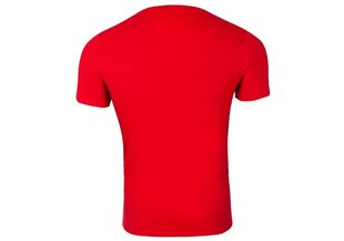 Мужская футболка Guess CN SS CORE TEE RED M1RI24J1311 G532 43512 цена и информация | Мужские футболки | kaup24.ee