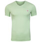 Guess meeste T-särk T-SHIRT VN SS CORE TEE GREEN M1RI32J1311 A80G 43614 цена и информация | Meeste T-särgid | kaup24.ee