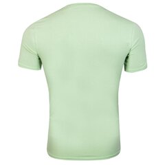 Мужская футболка Guess T-SHIRT VN SS CORE TEE GREEN M1RI32J1311 A80G 43614 цена и информация | Мужские футболки | kaup24.ee
