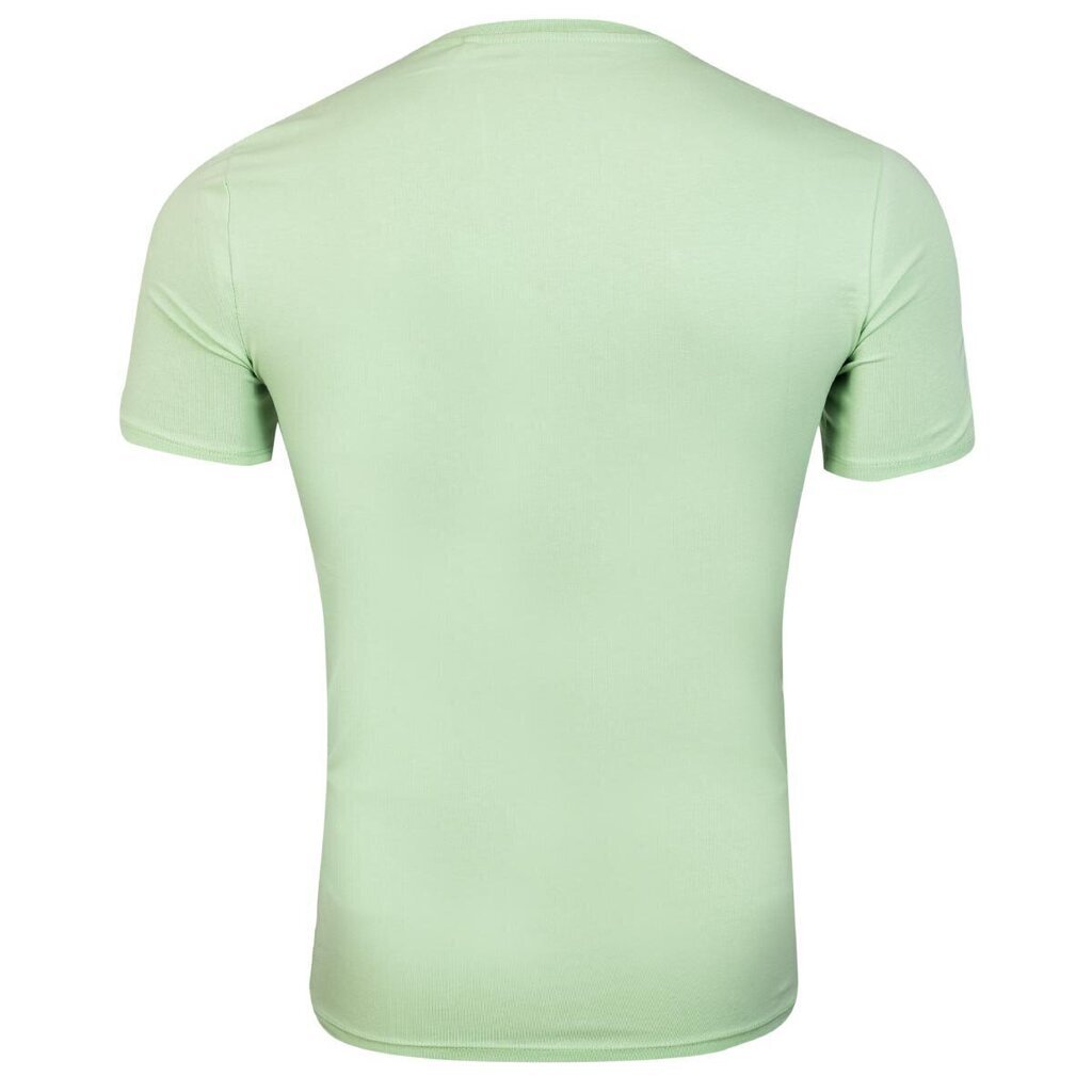 Guess meeste T-särk T-SHIRT VN SS CORE TEE GREEN M1RI32J1311 A80G 43614 hind ja info | Meeste T-särgid | kaup24.ee