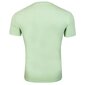 Guess meeste T-särk T-SHIRT VN SS CORE TEE GREEN M1RI32J1311 A80G 43614 цена и информация | Meeste T-särgid | kaup24.ee