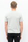 Guess meeste T-särk T-SHIRT CALEB HERO CREW NECK GRAY U97M00JR003 H905 43189 цена и информация | Meeste T-särgid | kaup24.ee