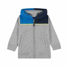 Толстовка-пуловер для мальчиков, Tom Tailor  цена и информация | Свитеры, жилетки, пиджаки для мальчиков | kaup24.ee