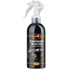 Autovaha Autosol EXPRESS WAX (250 ML) цена и информация | Автохимия | kaup24.ee