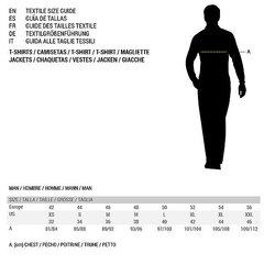 Футболка с коротким рукавом мужская Asics Core цена и информация | Мужская спортивная одежда | kaup24.ee