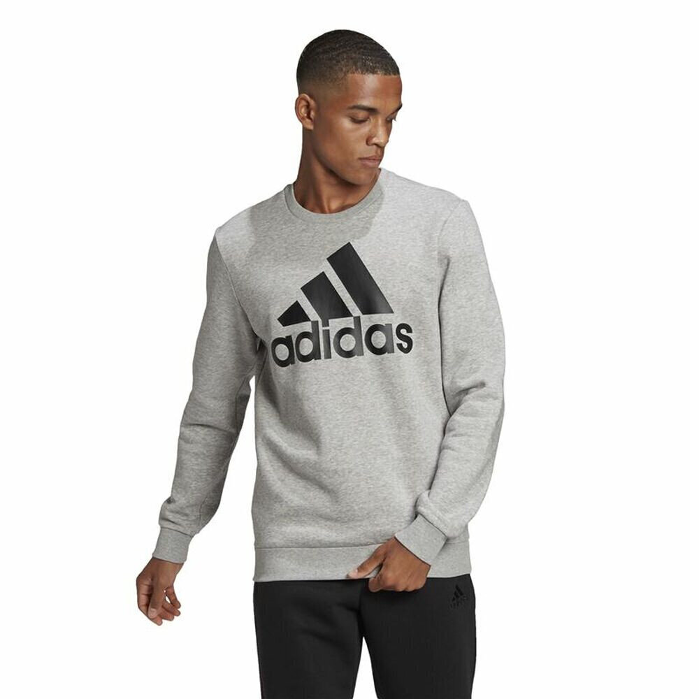 Dressipluus ilma kapuutsita, meeste Adidas Essentials Big Logo Helehall S6443172 hind ja info | Meeste spordiriided | kaup24.ee