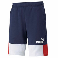 Спортивные мужские шорты Puma Essentials+ Block цена и информация | Мужская спортивная одежда | kaup24.ee