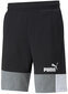 Puma Lühikesed Püksid Ess+ Block Shorts Black White Grey 847429 01 847429 01/L цена и информация | Meeste spordiriided | kaup24.ee