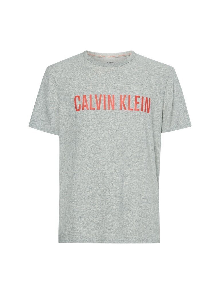 Meeste T-särk Calvin Klein S/S CREW NECK, hall 000NM1959E W6K 42845 цена и информация | Meeste T-särgid | kaup24.ee