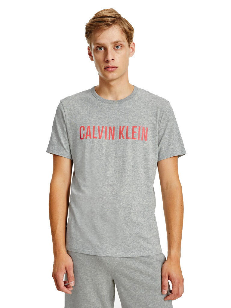 Meeste T-särk Calvin Klein S/S CREW NECK, hall 000NM1959E W6K 42845 цена и информация | Meeste T-särgid | kaup24.ee