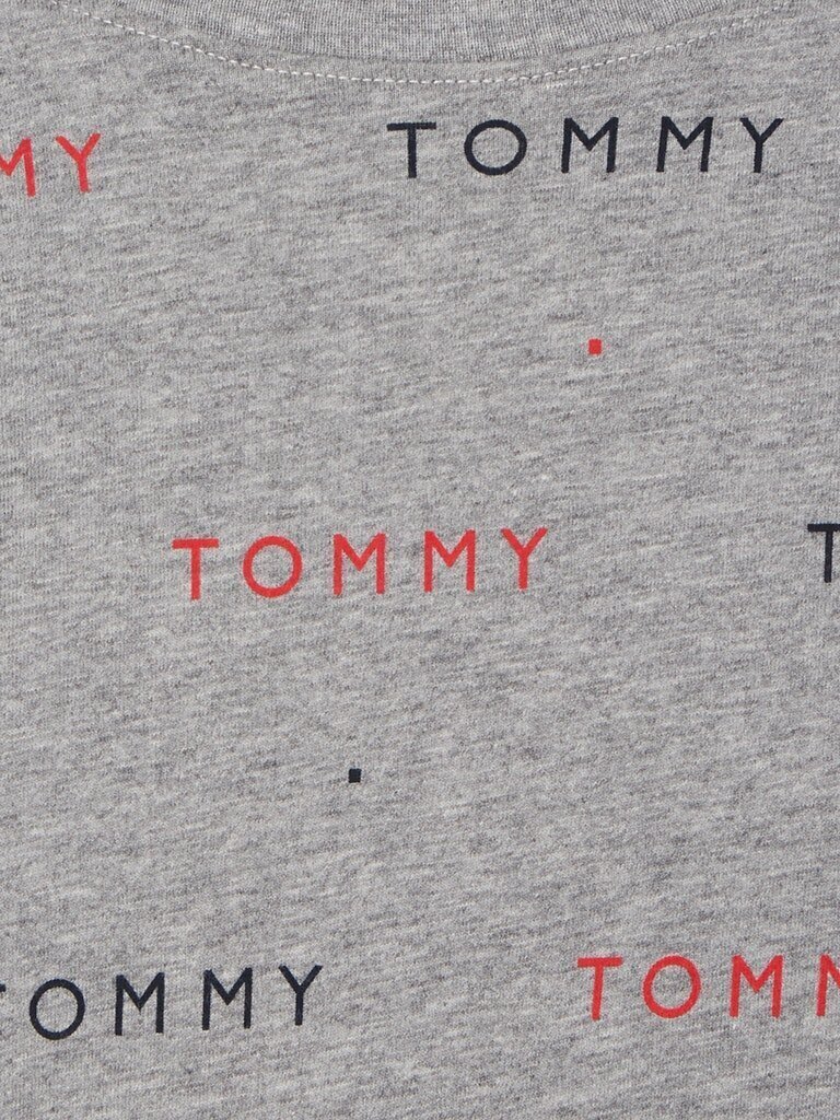 Meeste T-särk Tommy Hilfiger CN SS TEE PRINT, hall UM0UM02132 0IM 42563 цена и информация | Meeste T-särgid | kaup24.ee