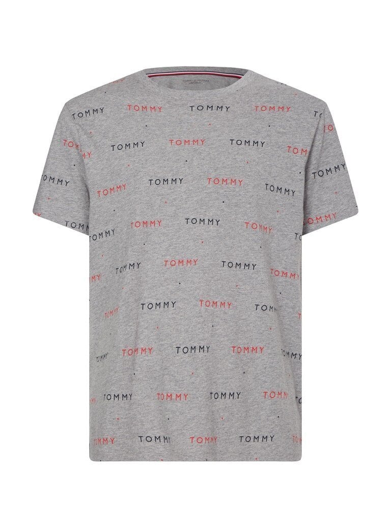 Meeste T-särk Tommy Hilfiger CN SS TEE PRINT, hall UM0UM02132 0IM 42563 цена и информация | Meeste T-särgid | kaup24.ee