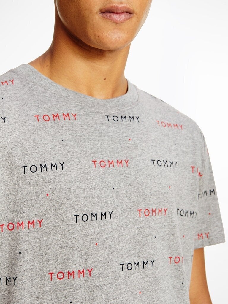 Meeste T-särk Tommy Hilfiger CN SS TEE PRINT, hall UM0UM02132 0IM 42563 цена и информация | Meeste T-särgid | kaup24.ee