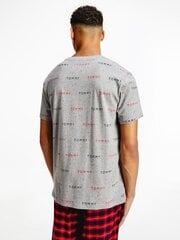 Meeste T-särk Tommy Hilfiger CN SS TEE PRINT, hall UM0UM02132 0IM 42563 цена и информация | Мужские футболки | kaup24.ee