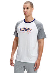 Meeste T-särk TOMMY HILFIGER T-SHIRT CN SS TEE LOGO, valge/hall UM0UM02351 P4A 43879 цена и информация | Мужские футболки | kaup24.ee