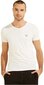 Guess meeste T-särk CALEB HERO V NECK S, valge U97M01JR003 WHITE A009 43185 цена и информация | Meeste T-särgid | kaup24.ee